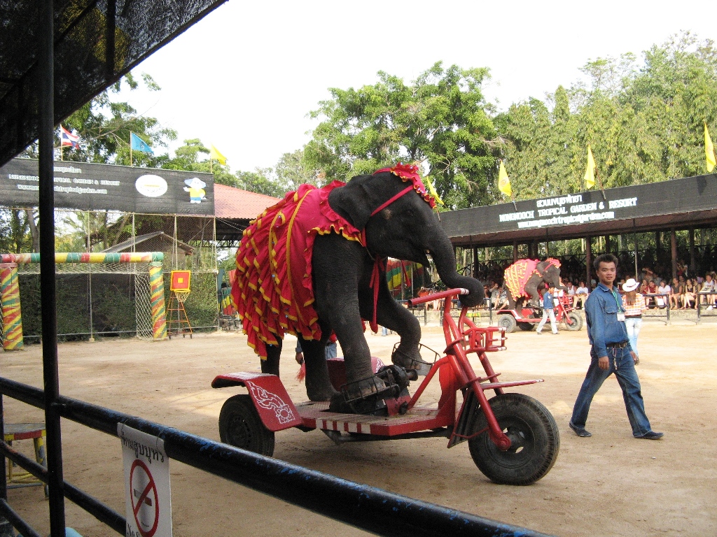 du lich thai lan gia re